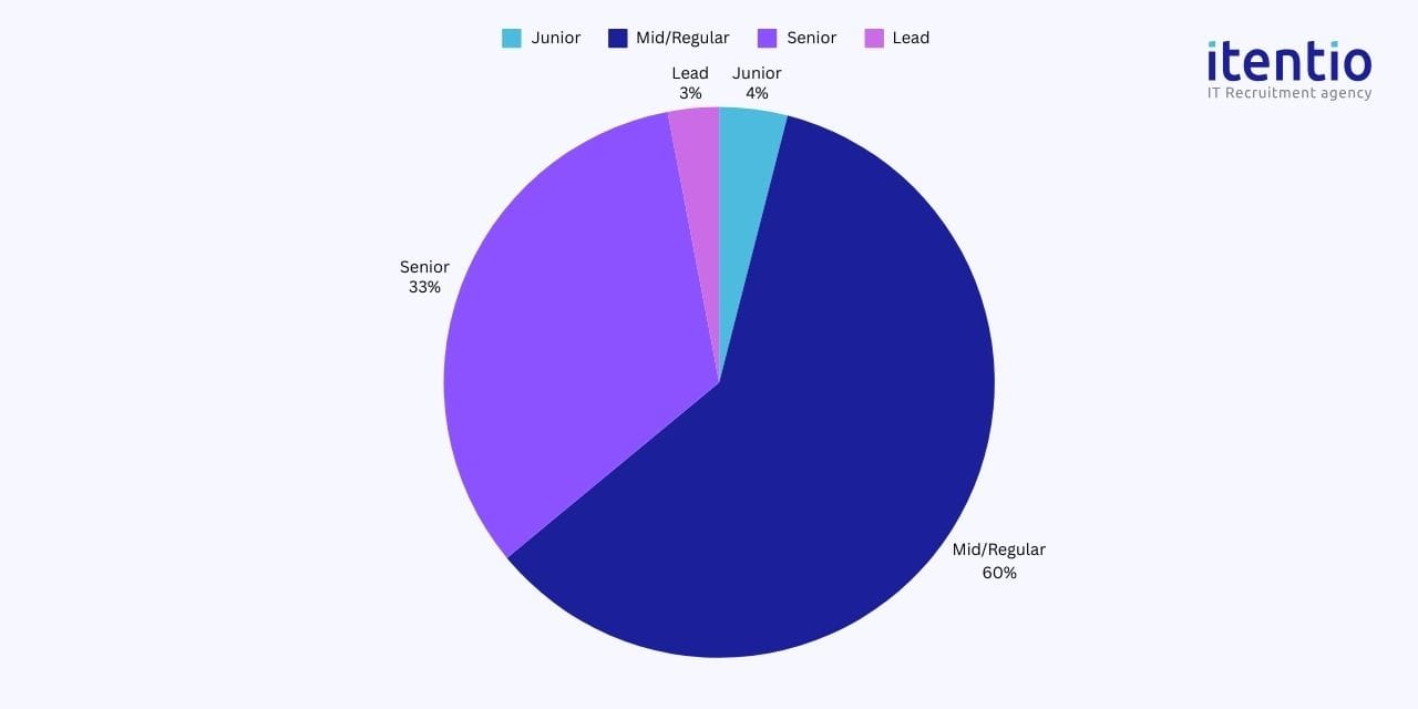 Business Intelligence Developer Salary in Poland - Itentio IT ...